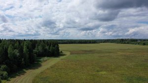 Окрестности поселка