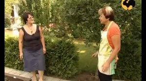 Плодовые деревья и кустарники