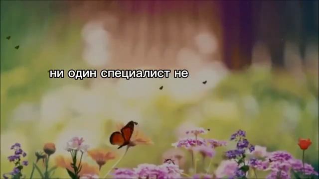 Как жить в лёгкости или жить легко?