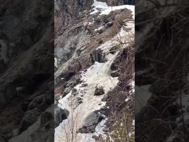 19 апреля 2024 г. смотреть онлайн