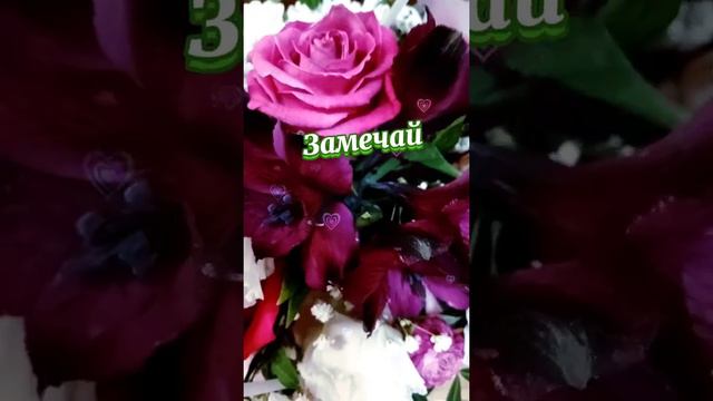 Для тебя! #длятебя #музыкальноепожелание #оченькрасиваямузыка #пожелание #музыкальнаяоткрытка