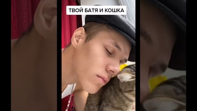 ТВОЙ БАТЯ И КОШКА