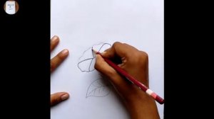 How to draw a beautiful flower||Petunia Flower drawing||#drawing  @sketchbookbysampa #howtodraw