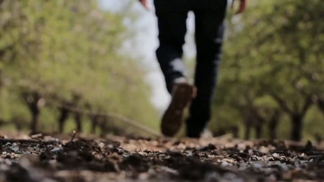 Признание в любви. Юрий Шмидт #стихи #poetry #рекомендации #motivation смотреть онлайн