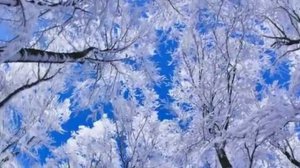 группа 'МГК' Падает снег...