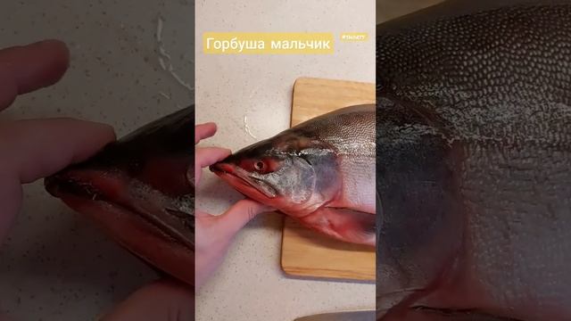 Как выбрать горбушу с икрой. #горбуша #краснаярыба #shorts