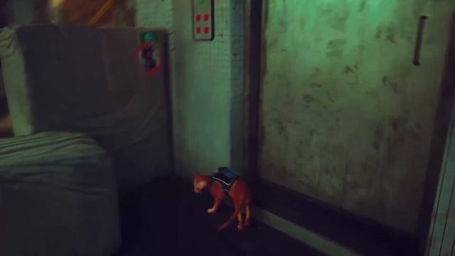 Куда делись люди? | Сюжет Stray | История мира Stray