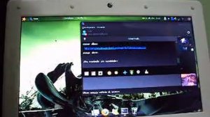 Netbook ViewSonic 106D Mandriva Compiz-Fusion Cubo 3D