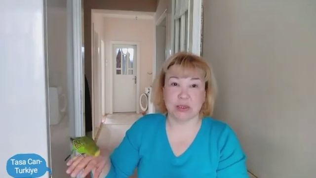 Влог/Жизнь в Турции?✅Выдался свободный день?✅У меня Дизлайки??✅ Турция ?? смотреть онлайн