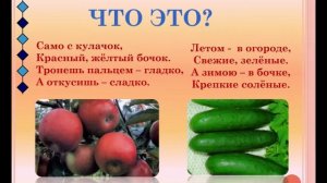 Урок «Овощи, ягоды и фрукты - витаминные продукты»