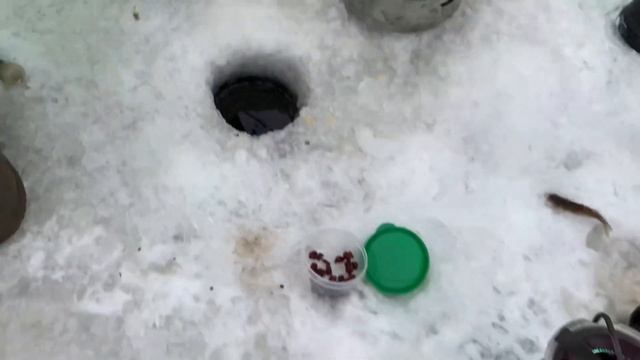 Рыбалка плохой не бывает смотреть онлайн