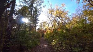 ДЕНДРОПАРК прогулка по Барнаульскому дендрарию Лисовенко Полный обзор Барнаул краски осени 2020