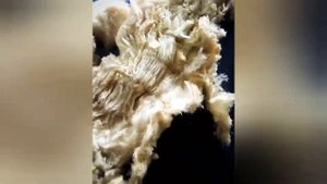 Переработка утеплителя из минволокна и базальтовой ваты. Трепальная машина МР-2