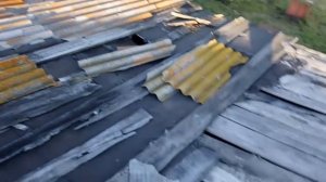 Жизнь на пасеке. В глуши Сибири.