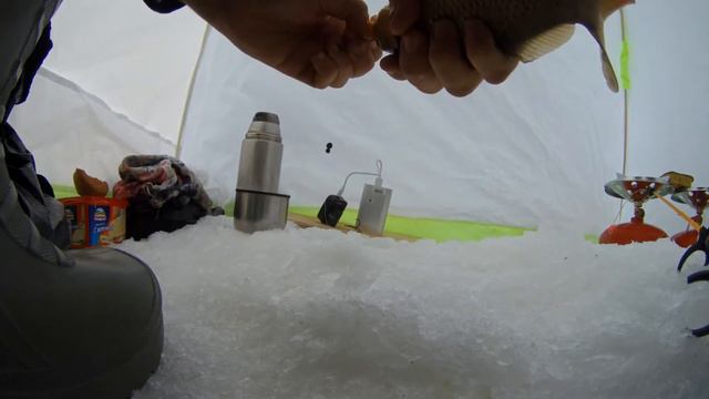 Рыбалка в Коми. Снова на водохранилище. Поймали ЗЕРКАЛОЧКУ! 24.02.2021. смотреть онлайн