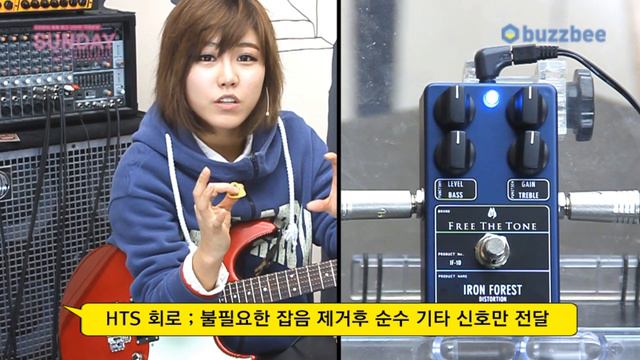 FreeTheTone 이펙터 IRON FOREST DISTORTION IF-1D