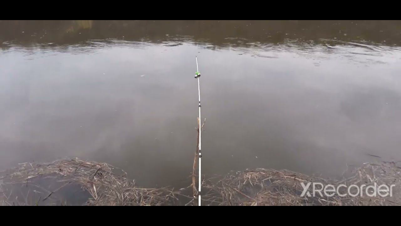 РЫБАЛКА НА ДОНУ!!! РАЗВЕДКА НОВЫХ МЕСТ!!! ОБЛОВИЛ ДРУГА!!! смотреть онлайн