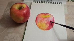 Рисунок яблоко акварелью. Як намалювати яблуко. drawing apple