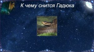 К чему снится Гадюка (Сонник)