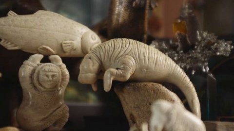 Страна рыбы и рыбоедов Главная экспозиция Подари Камчатке рыбу с любовью