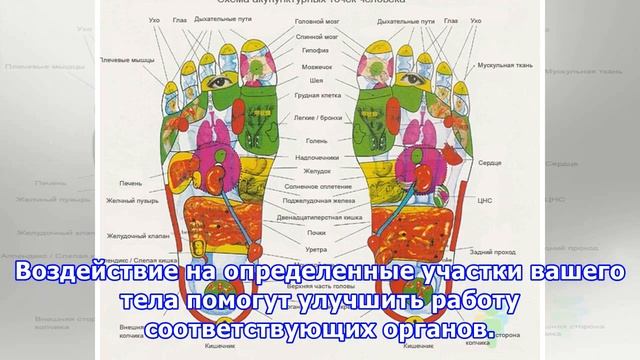 Рефлексотерапия: правильный массаж стоп
