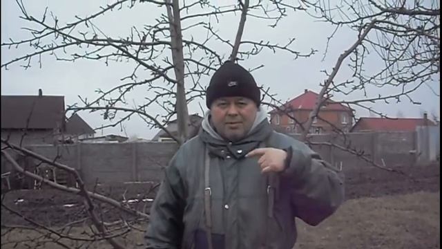 Весенняя обрезка груши и яблони 2017 смотреть онлайн