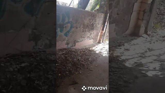Заброшенный ресторан Огни Сочи в Дагомысе