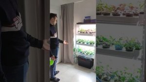 Бюджетная гидропонная установка своими руками