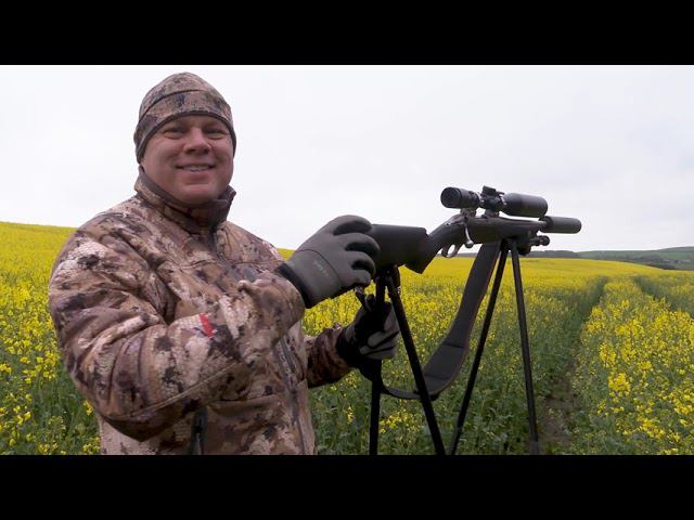 Охота на косулю с подхода в  Шотландии смотреть онлайн