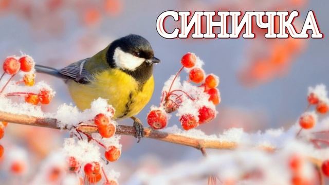 Аудіоказка українською / Синичка / Казка на ніч