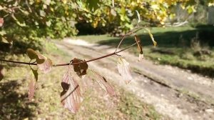 Живописные места станицы Баракаевской