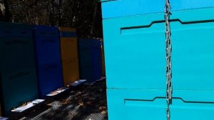 Прицеп с поворотной осью, выкатными рядами, для пчел.