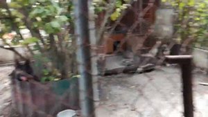 Собачий питомник. ВЕО СТАВГРАД.