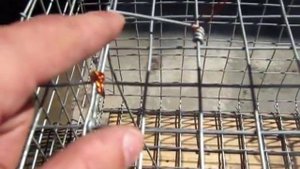 Крысоловка 2 (живоловка)