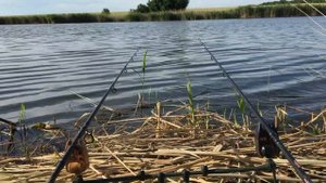 Добренькая рыбалка! Где ловить рыбу в Краснодарском Крае?