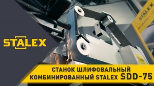 Шлифовальный комбинированный станок STALEX SDD-75 | Обзор 2022