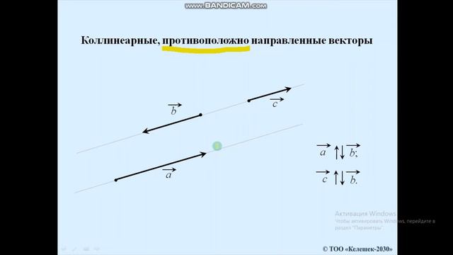 Понятие вектора  Коллинеарные вектора