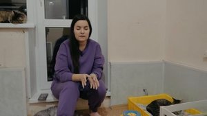 Мочекаменная болезнь у кошек: симптомы и лечение. Как правильно кормить кошку?