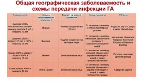 Актуальность проблемы гепатита А в современных условиях