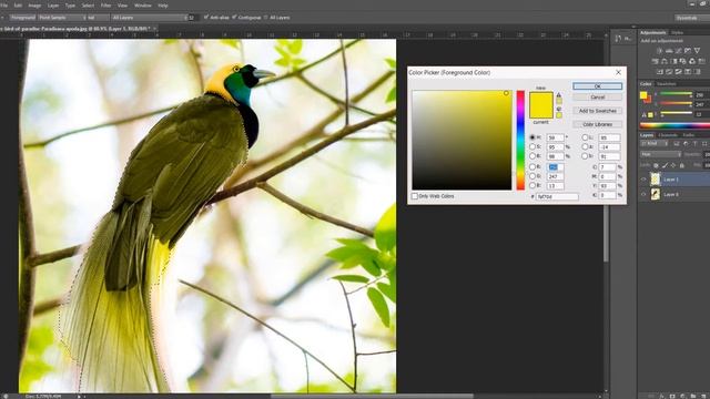Adobe Photoshop CS6 Tutorial Part 3 Adjust Color Khmer смотреть онлайн