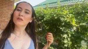 Осветление волос лимоном !