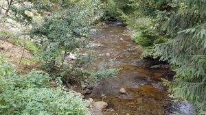 Нежное журчание ручья. Звук ручья, звуки природы