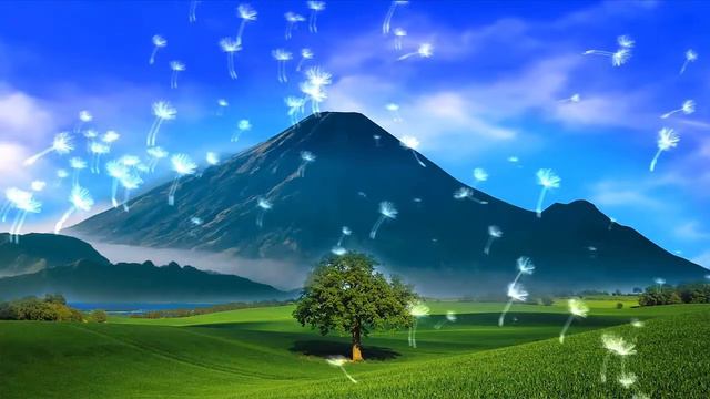 Bamboo Flute Zen Relax Music & Nature Meditation смотреть онлайн