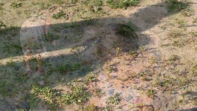 Дачный влог: идём в гости к лошадкам смотреть онлайн