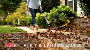 worx WG543E Kompakter bürstenloser        DE