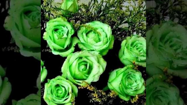 Ах , счастье, ты, как несчастье!! смотреть онлайн