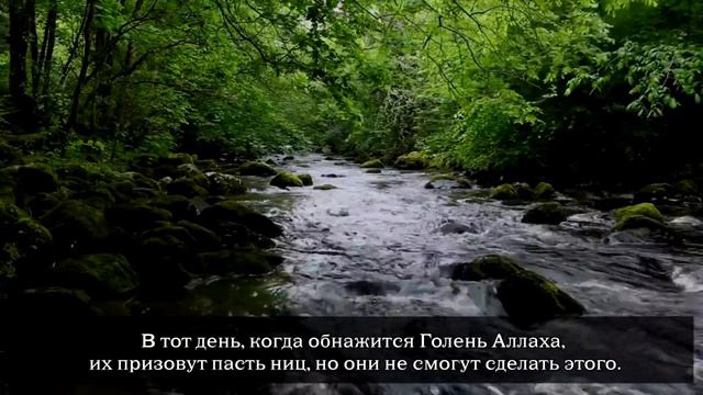 Ибрахим Джибрин