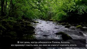 Ибрахим Джибрин