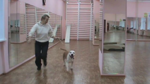 FLECHAZO GOLD ESPERANZA **PERIS** смотреть онлайн