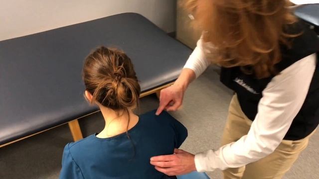 Shoulder/Scapular Mobilization - Occupational Therapy